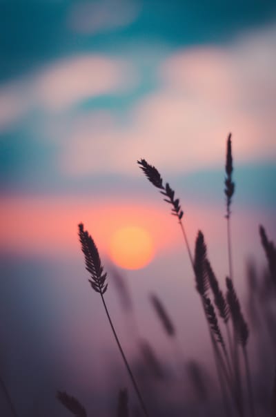 On Simple Pleasures